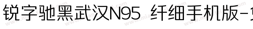 锐字驰黑武汉N95 纤细手机版字体转换